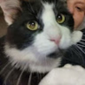 Meet your Posher, Katy leigh